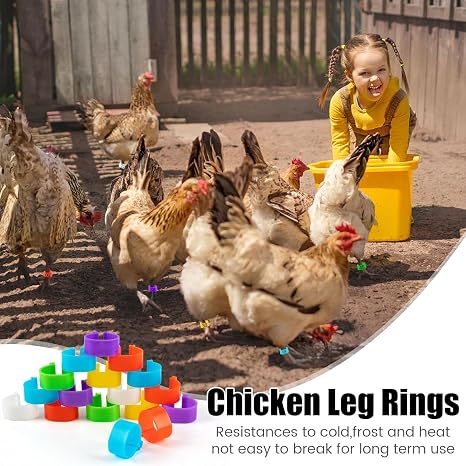 180pcs Chicken Leg Bands, Multicolor Chicken Leg Rings, 16 mm Clip On Chicken Identification Leg Bands Poultry Leg Bands, Ankle Rings for Birds Ducks Chicks