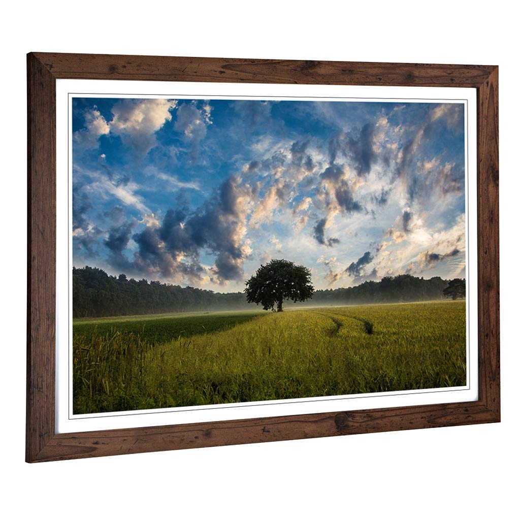Big Box Art Framed Print of Landscape Lone Tree in a Cornfield Design | Wall Art Picture | Home Decor for Kitchen, Living Room, Bedroom, Hallway, Walnut, A2 / 24.5x18 Inch / 62x45cm