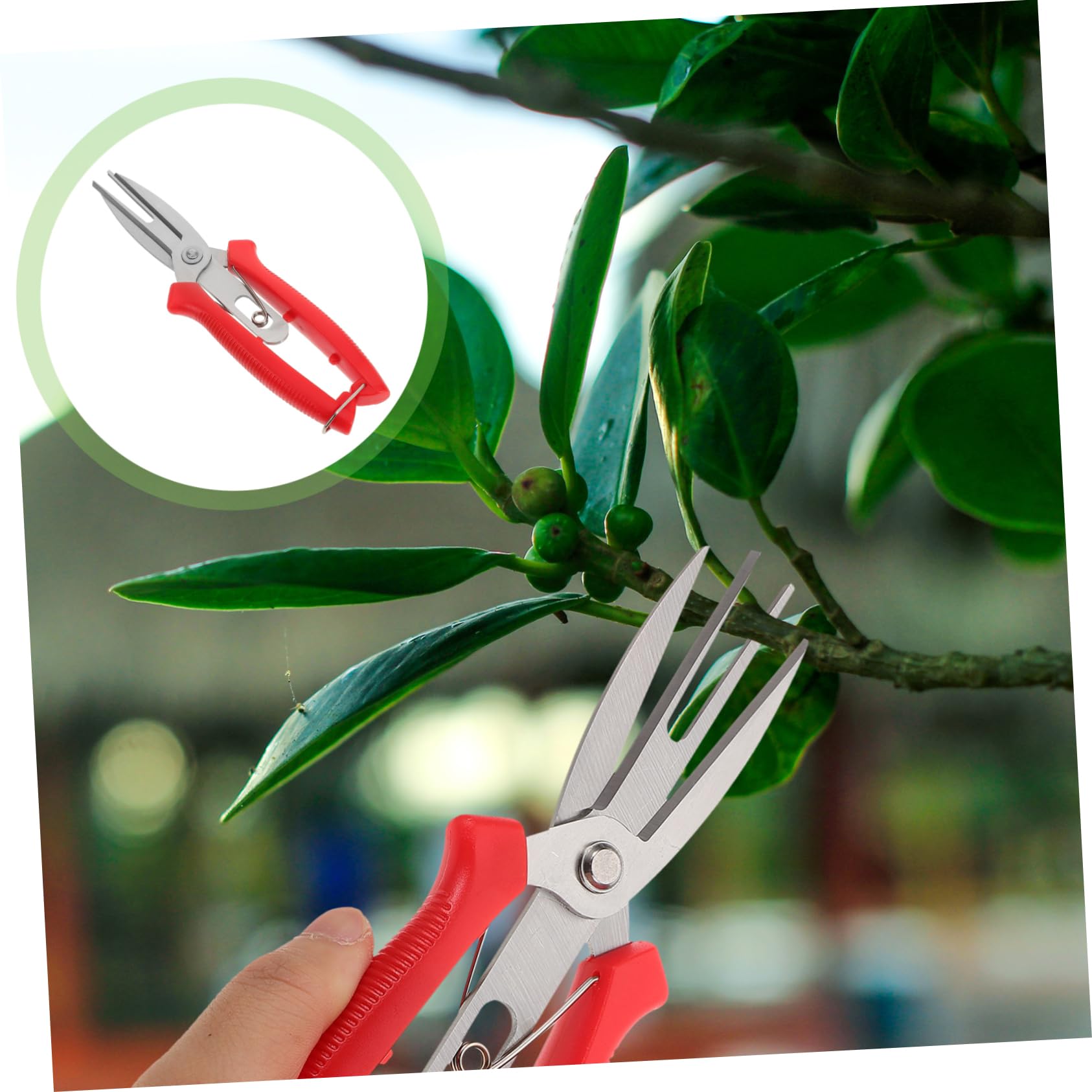 TOYANDONA 5 Stück Gartenpflege Ergonomische Gartenschneider für Präzises von Pflanzen für Gartenarbeit Hochwertige Pflanzenschneider für Effektives Trimmen
