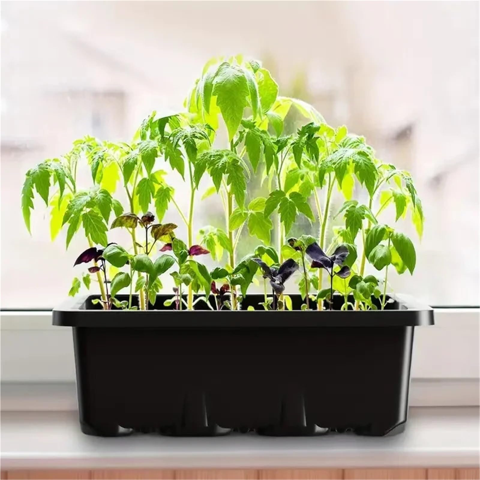 Semillero Bandeja de Inicio Semillas con Luces Cultivo, 2 Kits germinación Mini Invernadero cúpula Humedad Ajustable para Plantas