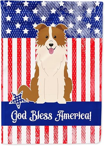 Caroline's Treasures BB3114GF Patriotic USA Border Collie - Bandera roja y blanca, tamaño de jardín, multicolor