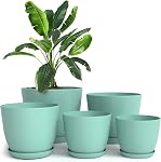 Utopia Home Pack of 5 - Plastic Plant Pots - Planters for Indoor Plants Saucer Tray - Nursery Pots Indoor with Drainage Holes,Succulent Pot (Black)