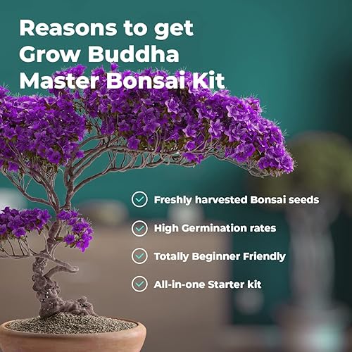 Miniatura 8 de Cultiva tu propio kit de bonsái  Plantas y semillas de árboles  Kits de manualidades  Cultiva fácilmente 4 tipos de árboles bonsái con nuestro kit