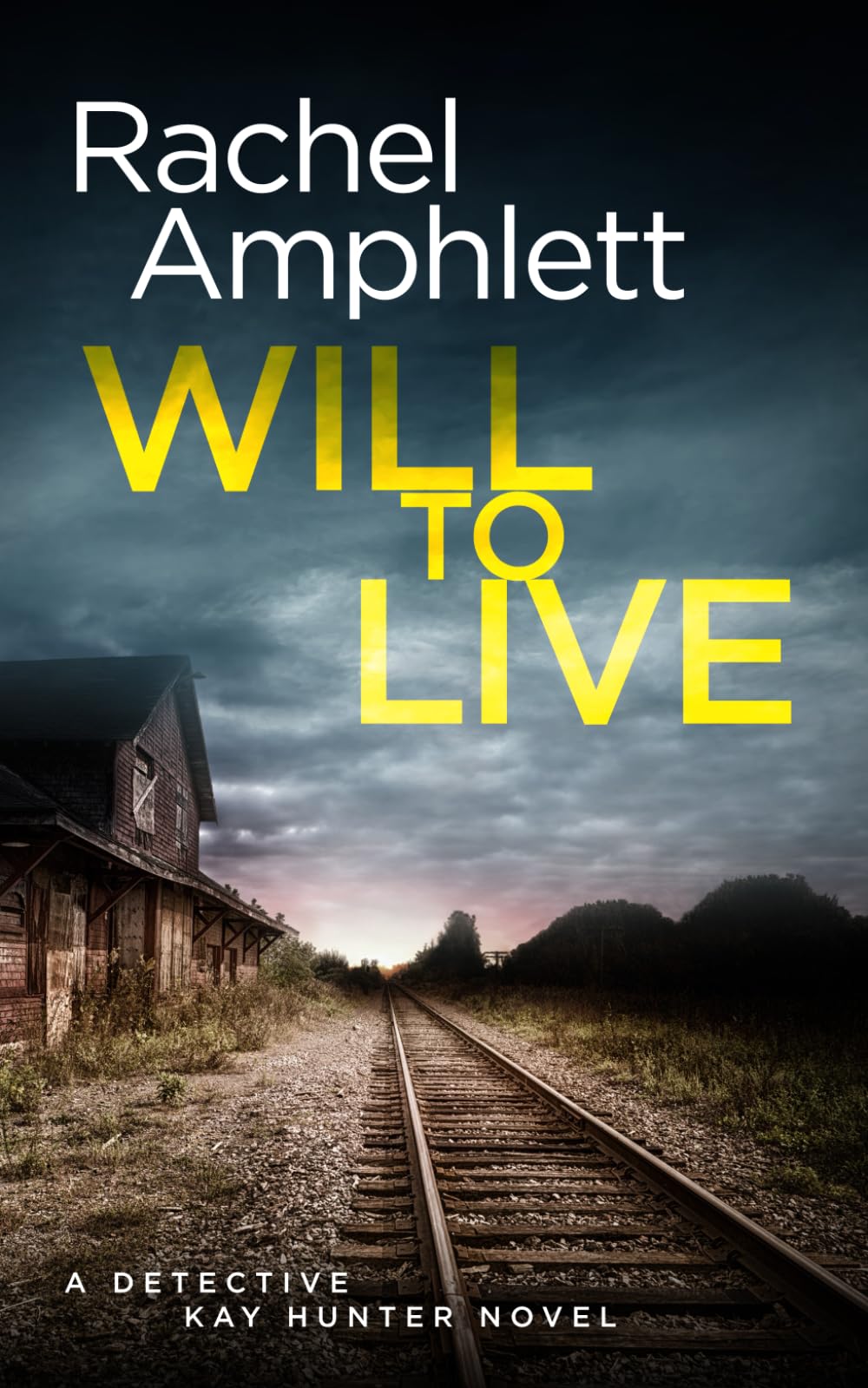 Will to Live: Detective Kay Hunter crime thriller series: 2
