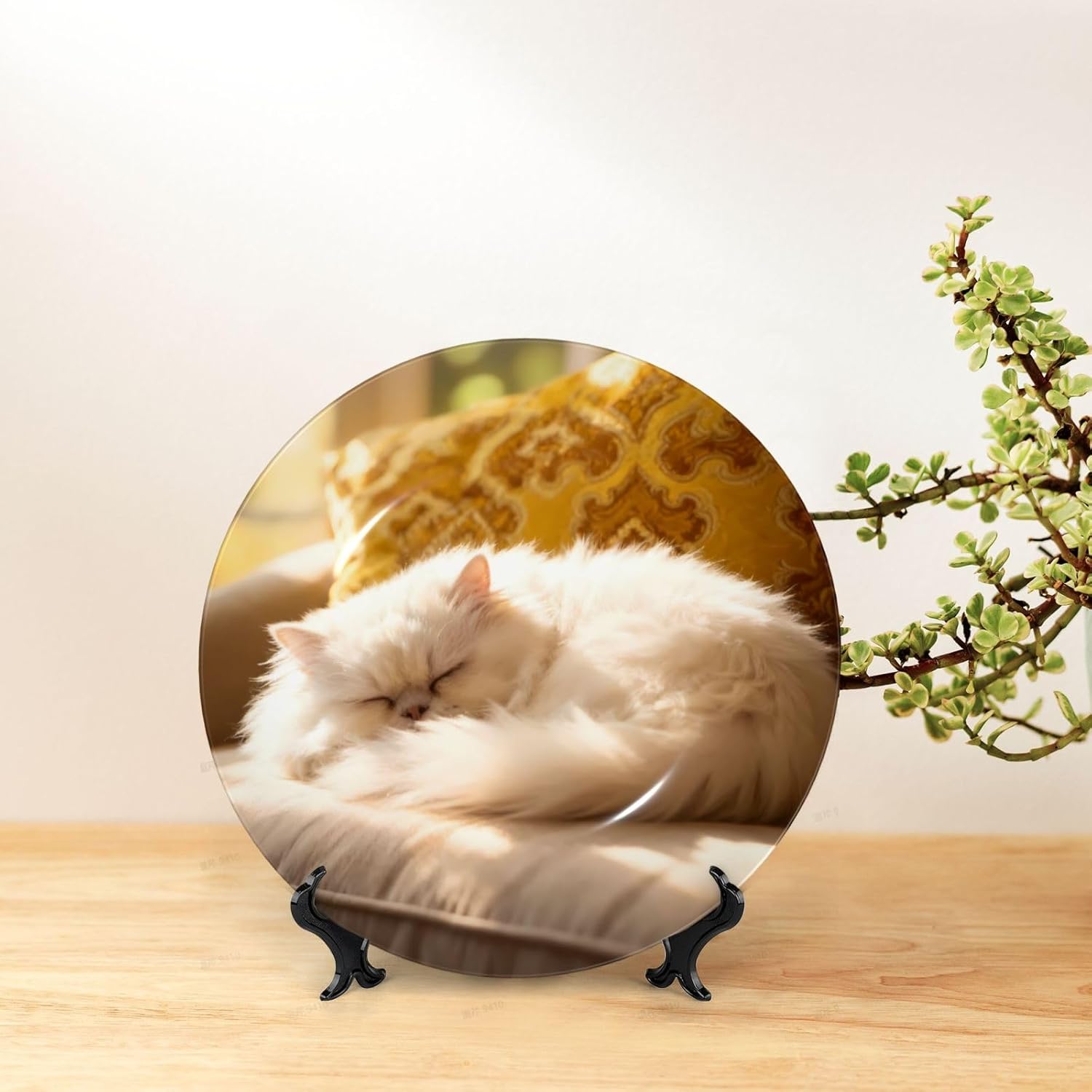 Cute Sleeping Cat Style Ceramic Plate Display Decorative Plate With Stand Wall Hanging Plate For Home Decor 10 Inch