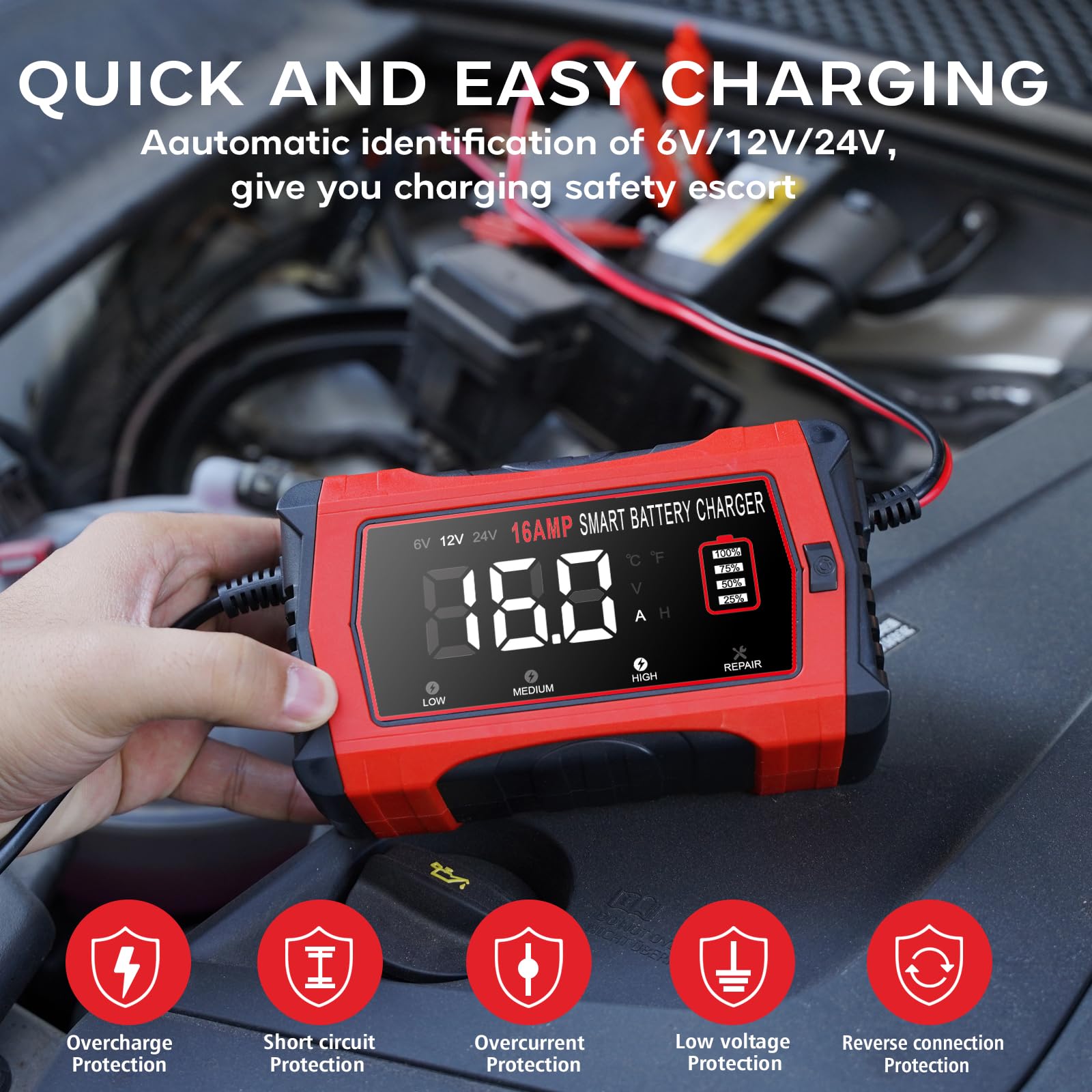 Caricabatterie LiFePO4 da 16 A, 12 V e 24 V, mantenitore intelligente per auto con 10 fasi e compensazione della temperatura