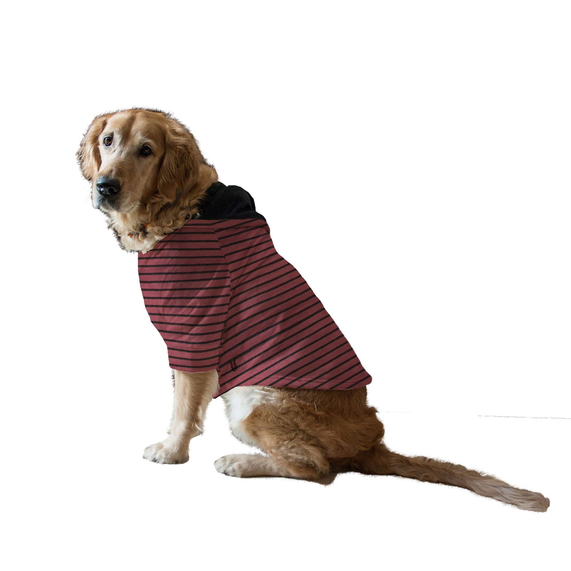 See full amazon price history chart for Ruse. Pet Clothes Terracota/Black Striped Full Sleeves with Drawstring Dog Jumper Hoodie Autumn Winter Apparel for Dog./Small (Apso, Shih Tzu etc.) Ruse. Pet Clothes Terracota/Black Striped Full Sleeves with Drawstring Dog Jumper Hoodie Autumn Winter Apparel for Dog./Small (Apso, Shih Tzu etc.) (B081TFKG34) Amazon Price History, Amazon Price Tracker