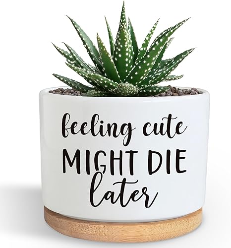 Divertida maceta para suculentas, bonita maceta pequeña de cerámica de 3.5 pulgadas con drenaje, maceta de escritorio de oficina en casa para