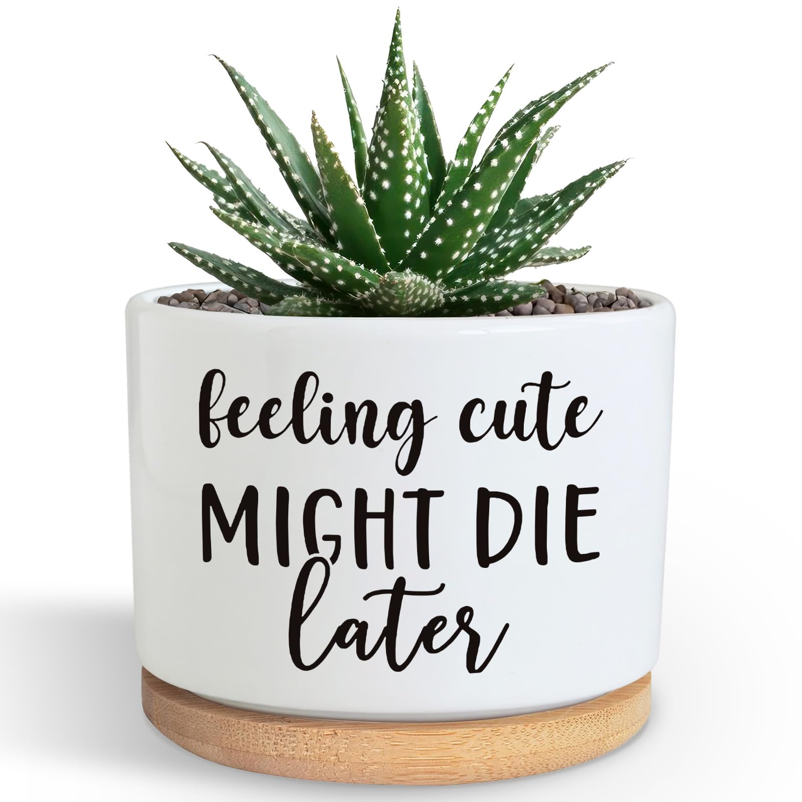 PZJIEAN Divertidas macetas suculentas, bonita maceta pequeña de cerámica de 3.5 pulgadas con drenaje, divertida maceta para cactus suculentas, regalos inspiradores de agradecimiento para los amantes