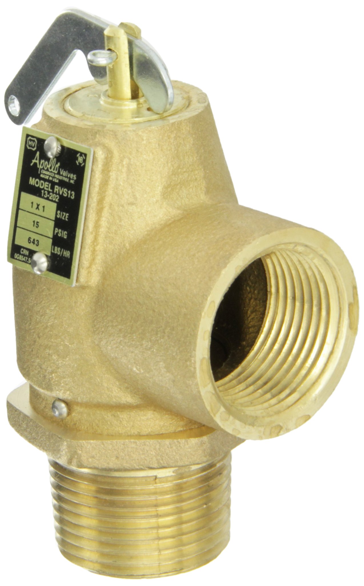 Apollo Valve Válvula de alivio de seguridad de bronce serie 13-202, vapor ASME, presión de juego de 15 psi, NPT macho x hembra de 1 pulgada