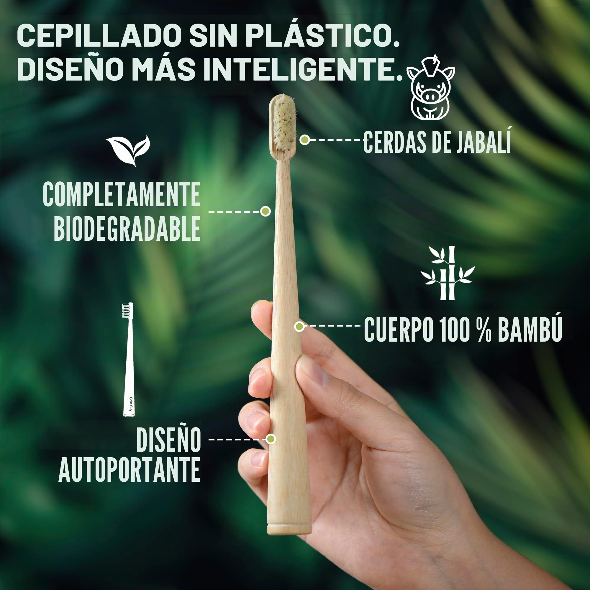Gaia Guy Cepillos de dientes de cerdas de bambú y jabalí, paquete de 4, cerdas naturales de jabalí, sin plástico, mango de pie, cuidado bucal minimalista y de bajo desperdicio