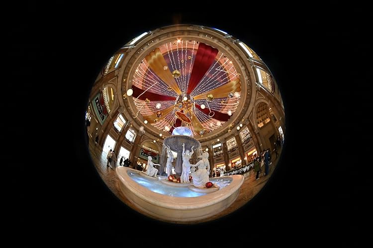 シグマ 4.5mm F2.8 魚眼レンズ ニコン用