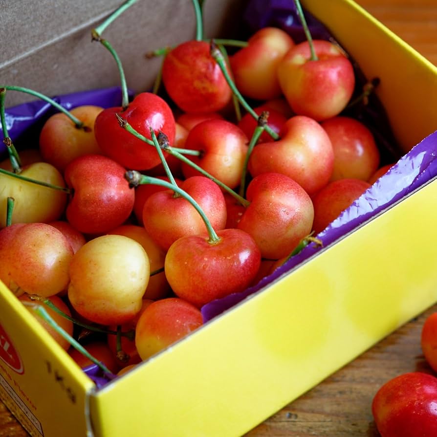 Amazon.co.jp: 予約受付6月17日まで ワシントン州 GEE WHIZ