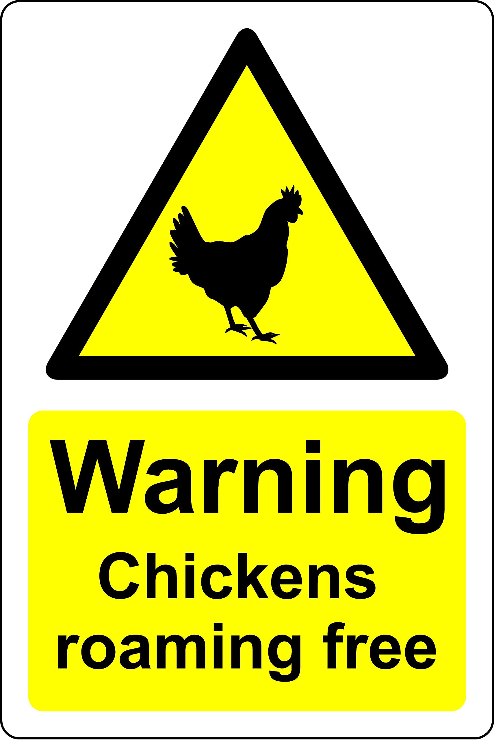 Kpcm Display Ltd Warning Chickens Roaming Free Safety Sign - 1Mm Plastic Sign (200Mm X 150Mm)