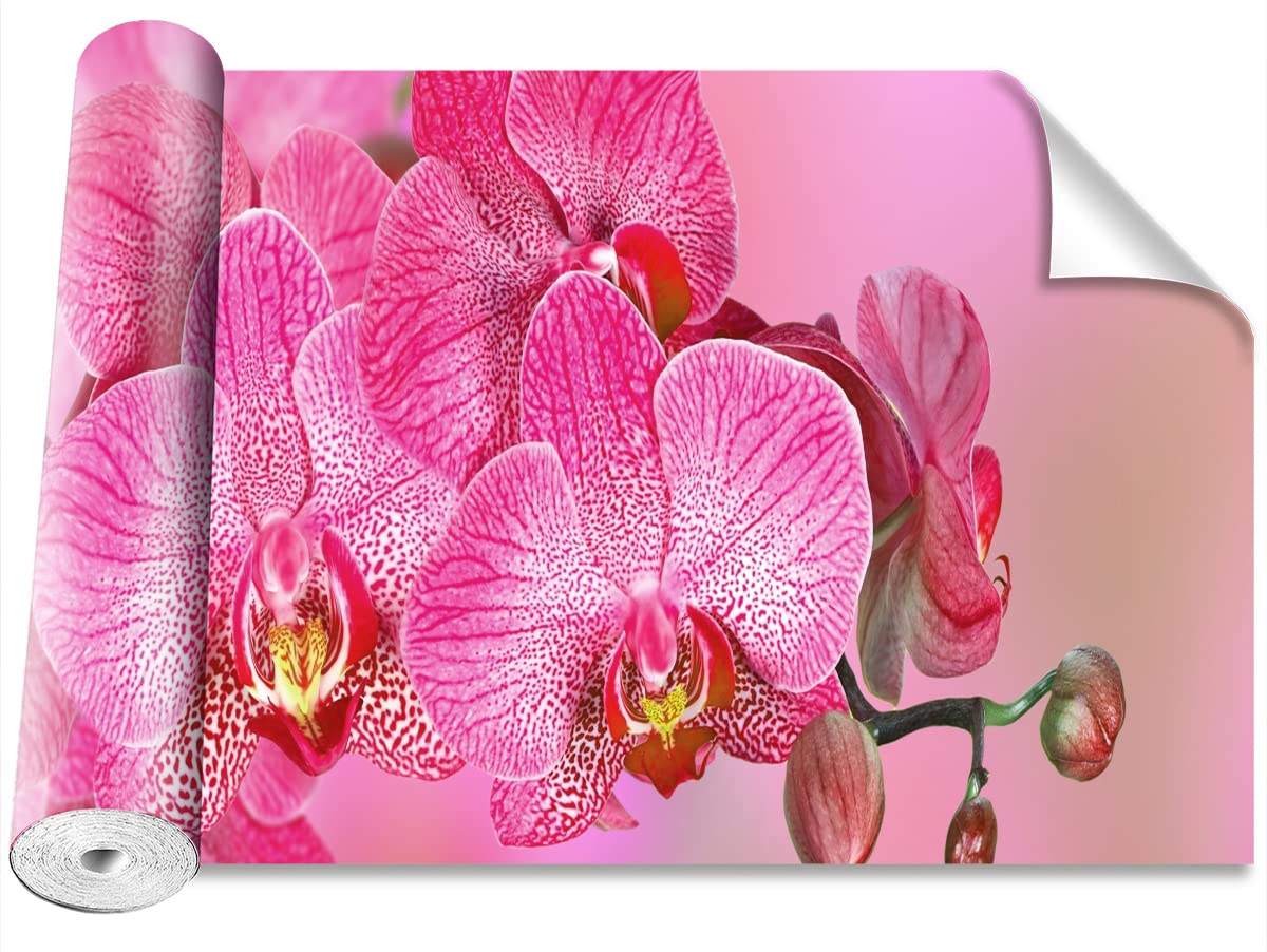 Papier Peint Orchidée Rose Camouflage Moderne Décoration Murale Tulup
