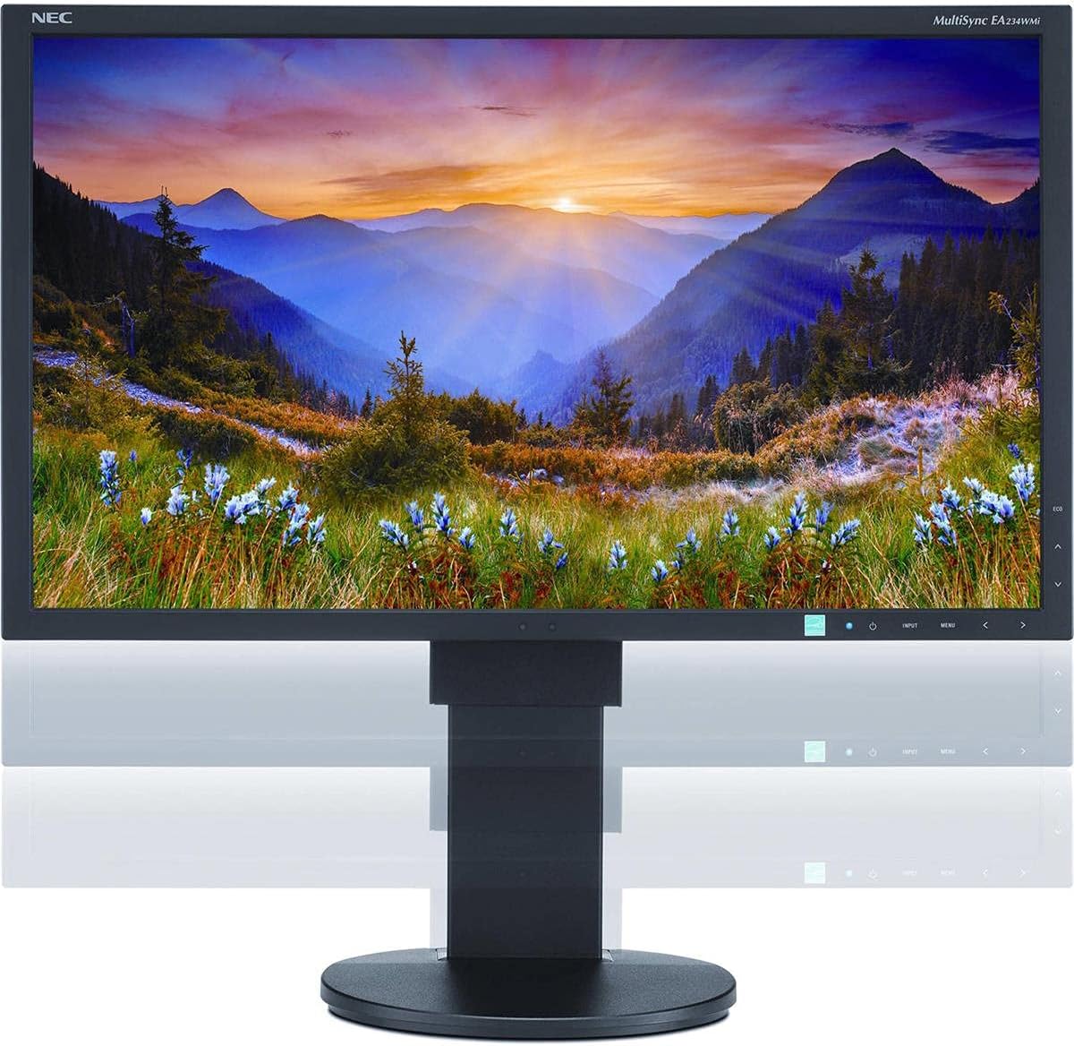 NEC EA234WMI-BK 23-Inch Screen LED-Lit Monitor,Black