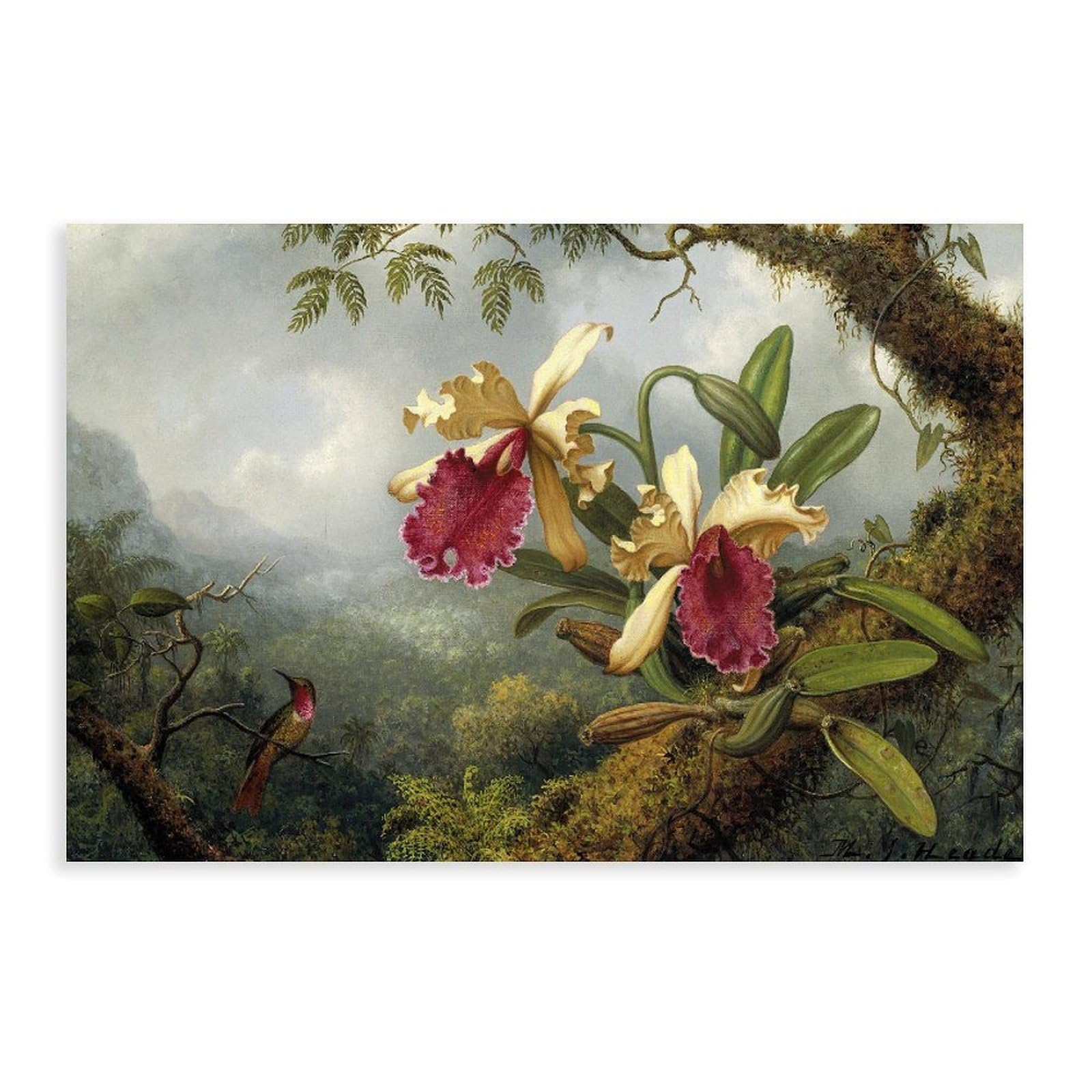 DFJyjFGJJ Martin Johnson Heade,Orchids And Hummingbird Poster Print for Teen Boys Room Wall Art Canvas Painting 12" L X 18" W