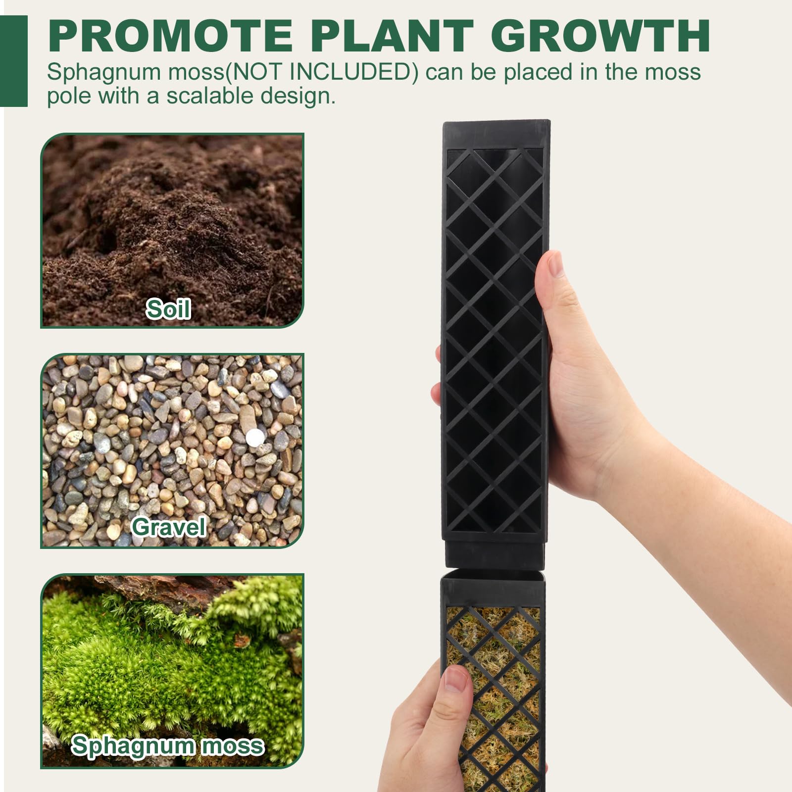 LangRay Tuteur Plantes Grimpantes, 4x25cm Tuteur Monstera pour Plantes d'intérieur, Tiges Auto-arrosant Bâton Extension en Plastique, Support pour Plantes Grimpantes Sphaigne Coco Jardin