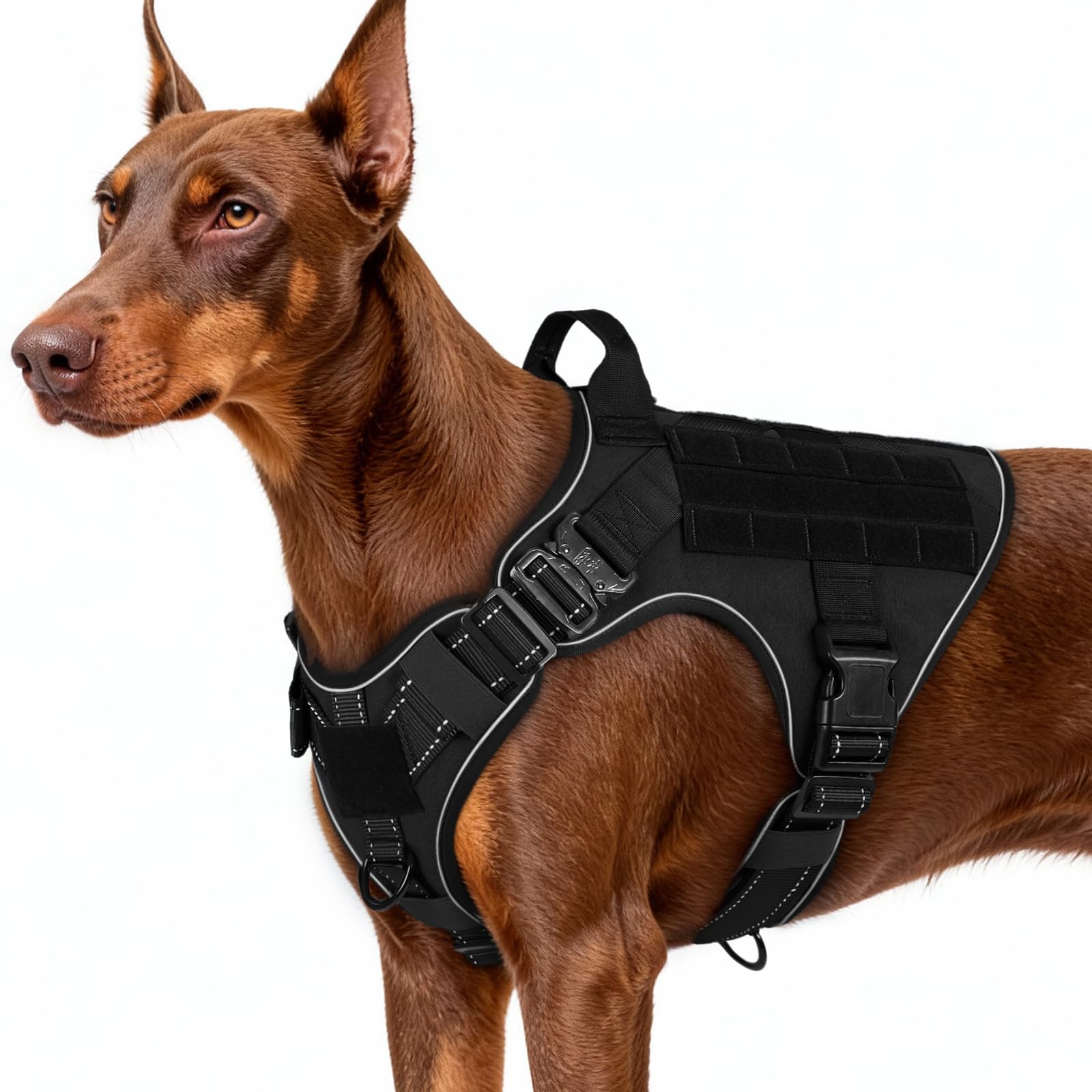 rabbitgoo Tactical Dog Harness