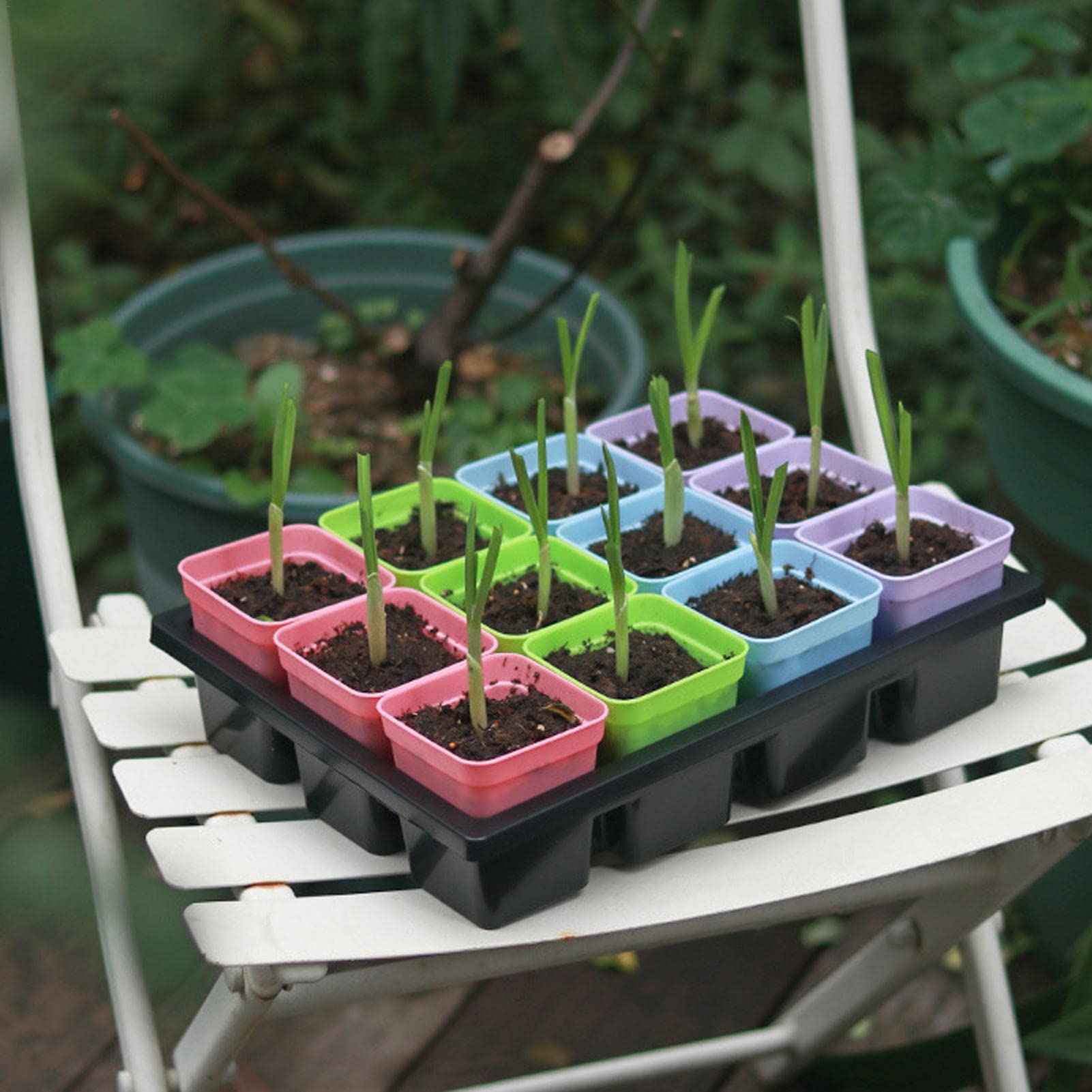 TONYFUL 60-Cell Seed Starter Tray With Grow Light & Humidity Dome - Indoor Gardening Kit