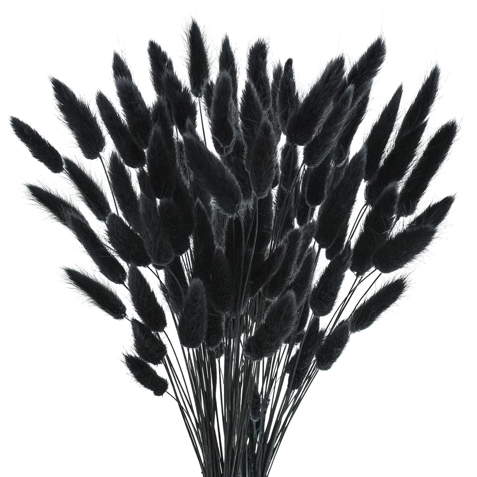 Dried Flowers Bouquet Natural， Fiori secchi bouquet naturale(Black,100PCS)