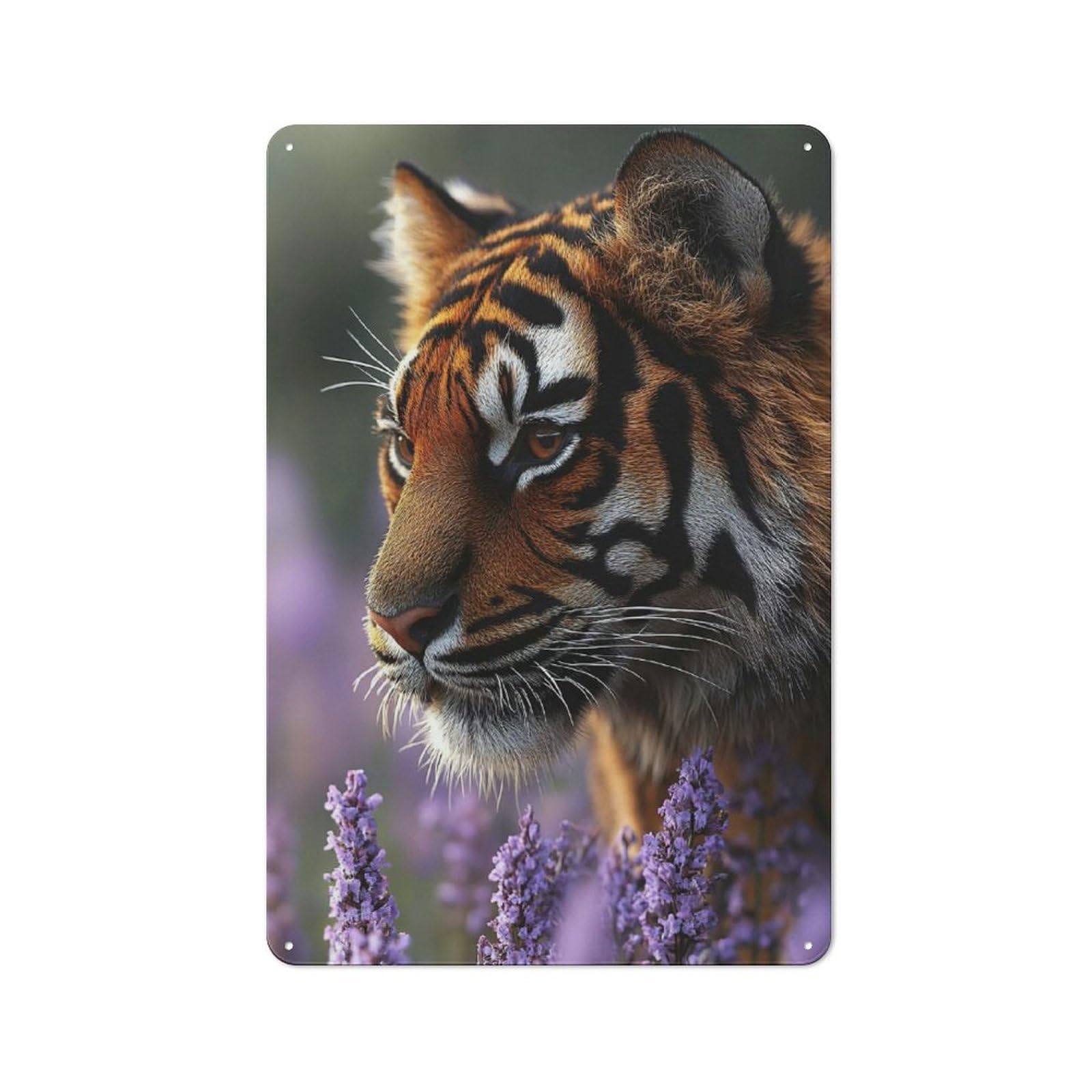 Junmoney Style-5 Old Style Tiger In Lavender Field Portrait Metal Sign 30X20cm, Bar Wall Plaque For Diner, Restaurant, Shed Or Kitchen