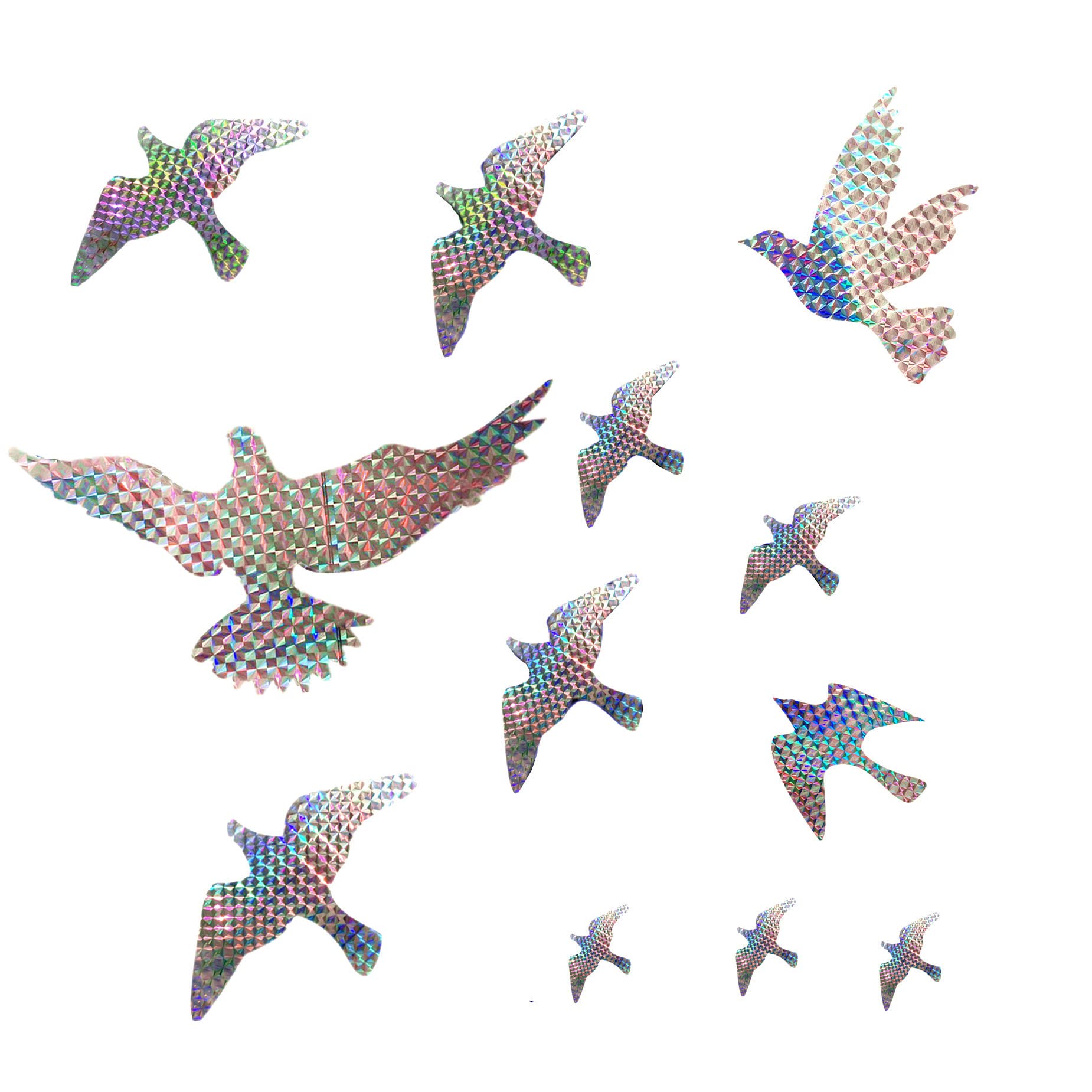 556750_7