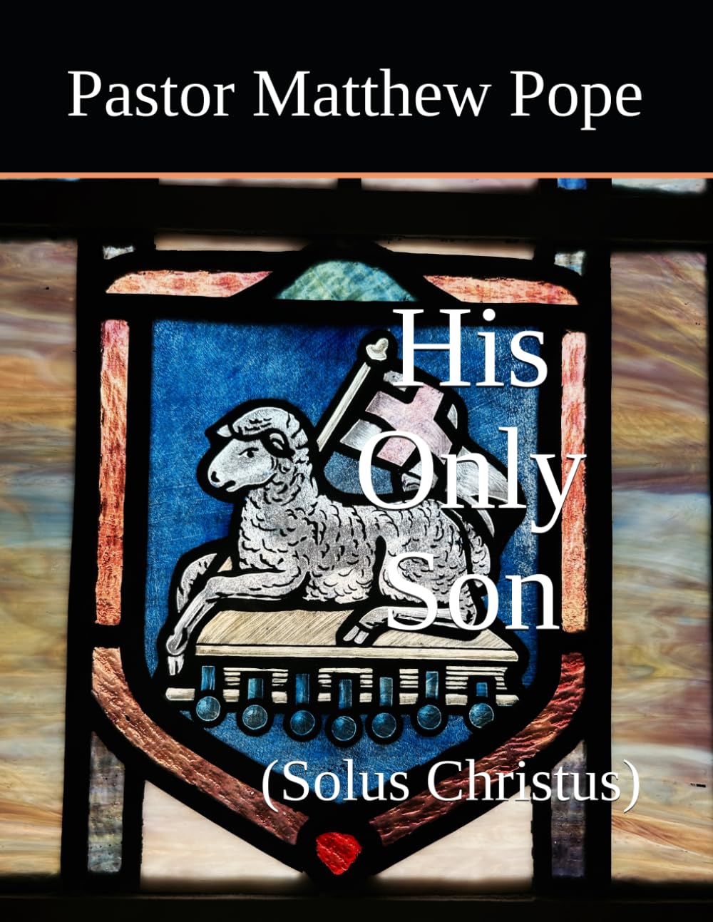 His Only Son: (Solus Christus) (Glory and Honour: The Five Solas)