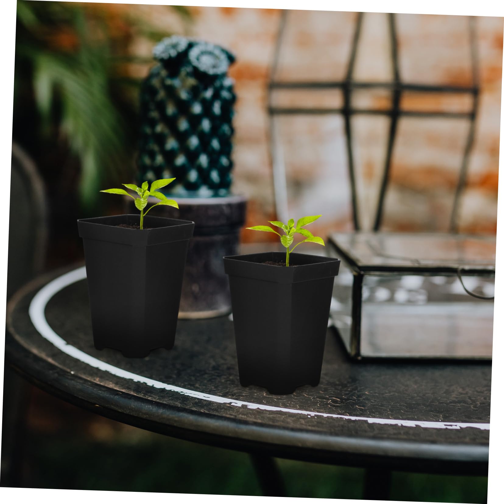 KONTONTY 10er Set Anzuchttöpfe - Durchsichtige Pflanztöpfe Mit Deckel