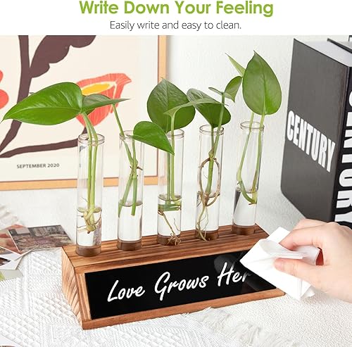 Miniatura 6 de Ceiner Estaciones de propagación de plantas para interiores, idea de regalo de inauguración de la casa para el hogar, soporte de terrario para