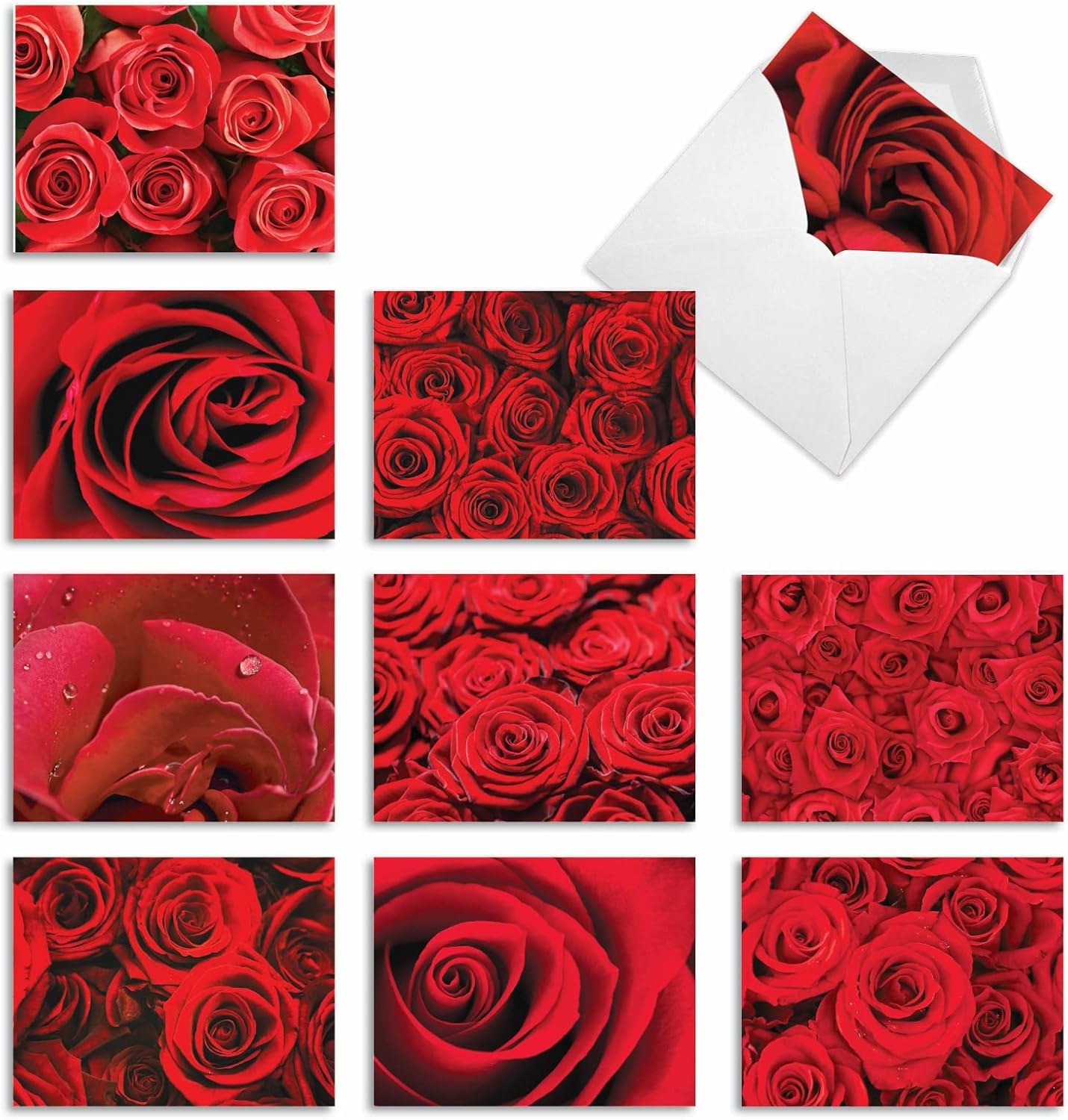 The Best Card Company - 10 Blank Note Cards with Flowers (4 x 5.12 Inch) - Floral Notecards, All Occasion Boxed Assortment - Roses are Red M3088