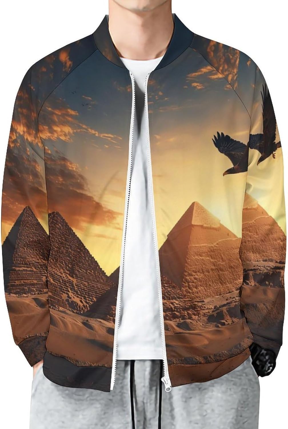 Egyptian Pyramids Flying Ea-gle Men's Zip Up Sweatshirt Casual Sweater Jackets Long Sleeve Tops Lightweight Coat