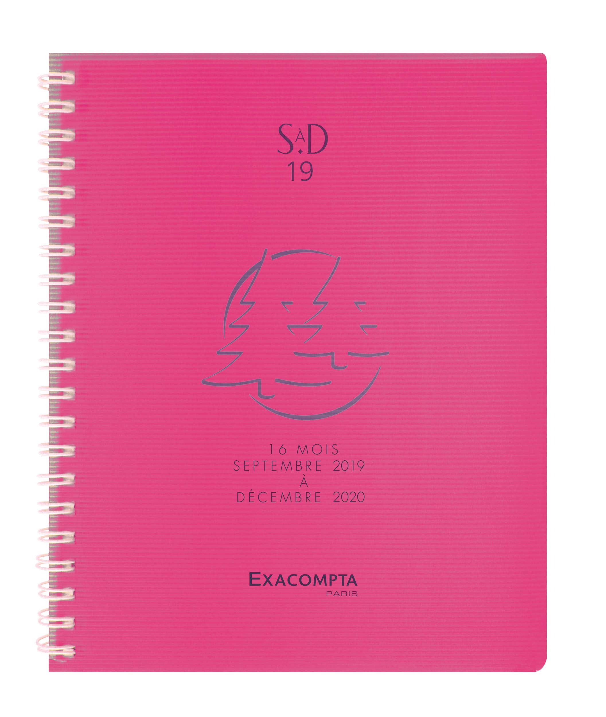 Exacompta Linicolor Sad 19 W Academic Desk Diary Spiral Diary December 2018 September 2017 Metal Random Colour)