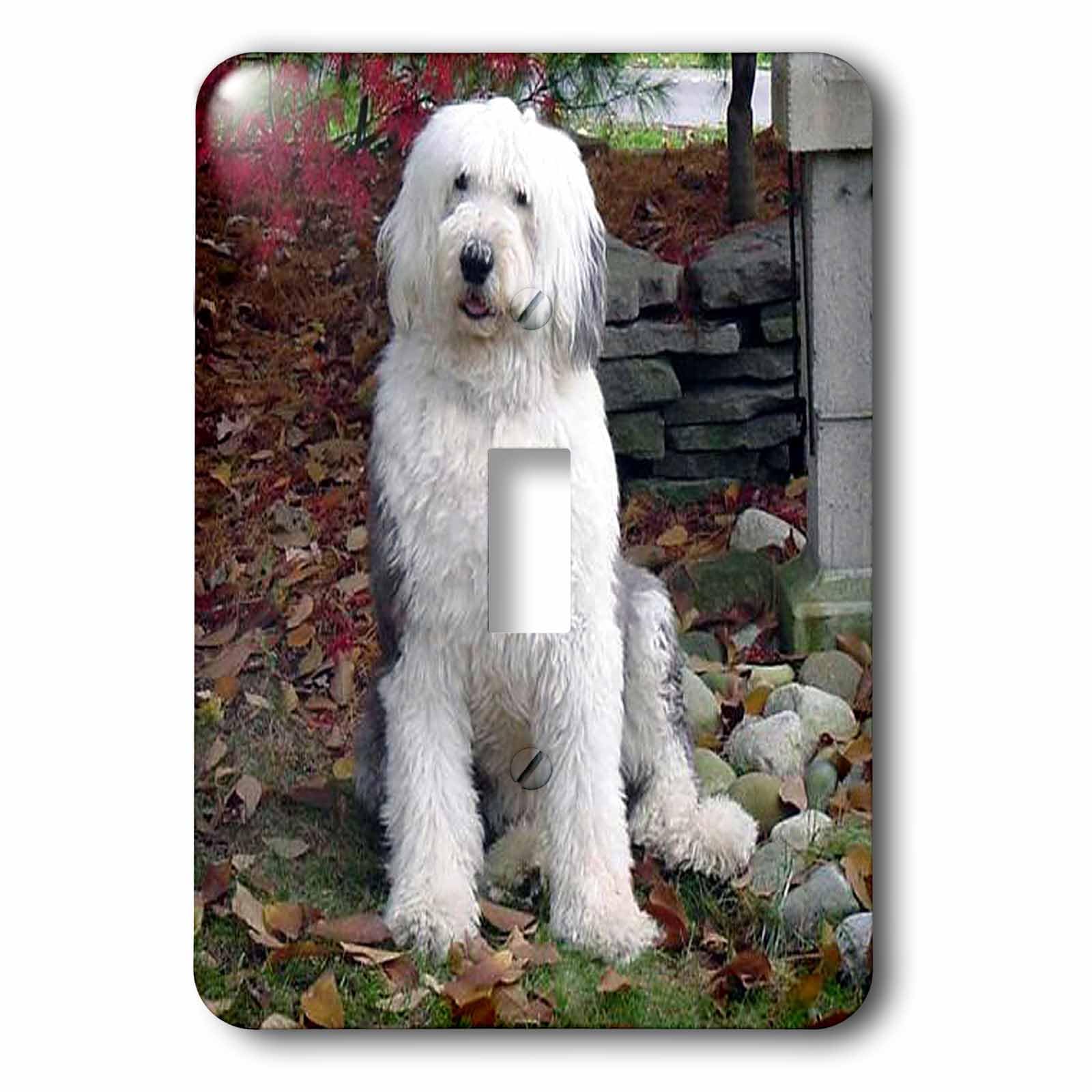 Interrupteur chien de berger anglais plaque de finition murale 3dRose Lsp_1070_1