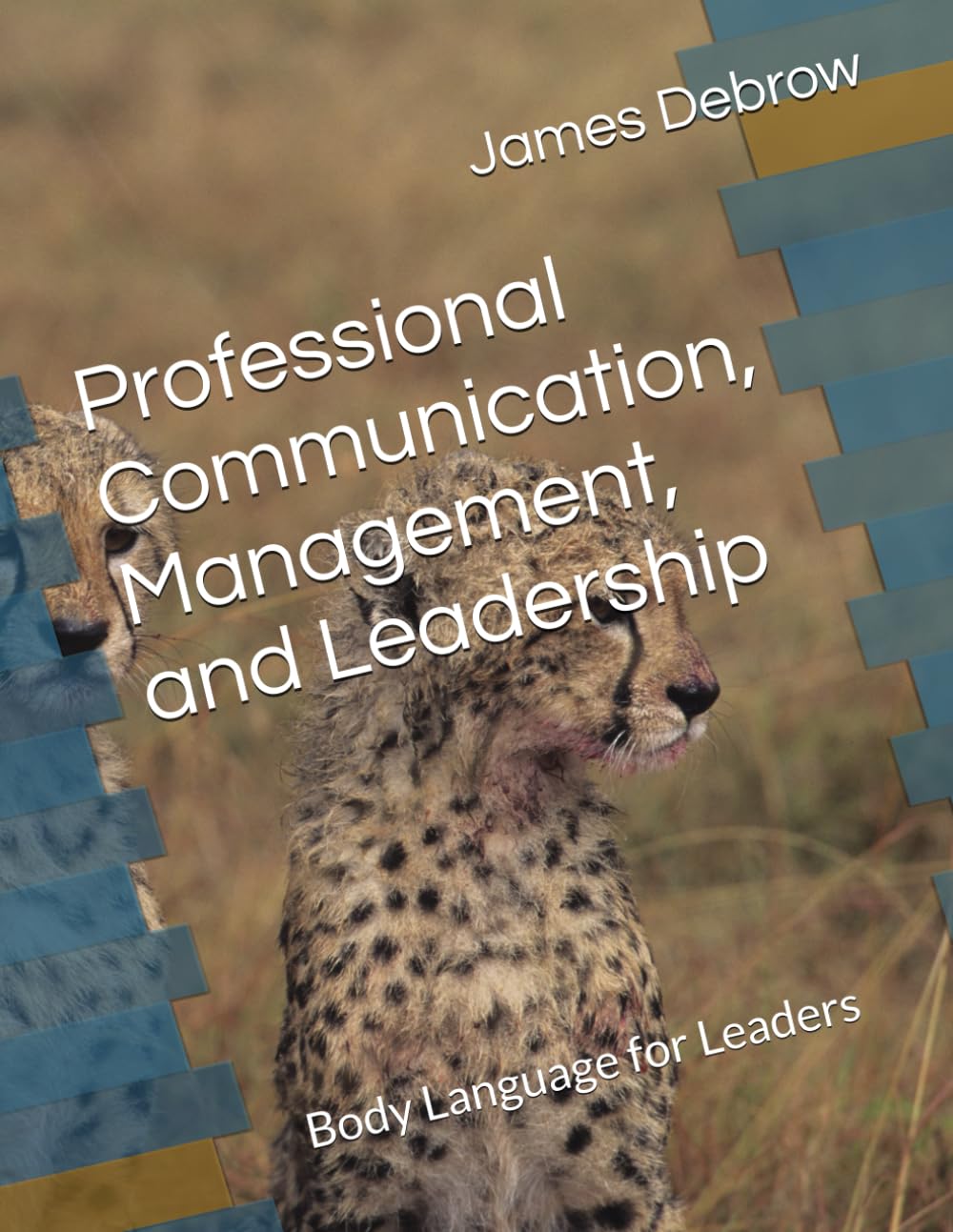 Professional Communication, Management and Leadership: Body Language for Leaders