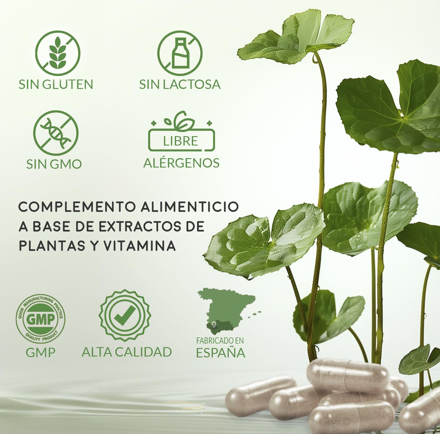 Nature Essential | Centella Asiática Complex 2500 mg | 60 Cápsulas (Pack 2 Unidades) | Con Castaño de Indias, Vid Roja y Ginkgo Biloba