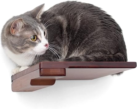 Catastrophic Creations Wooden Cat Step Floating Shelf (English Chestnut Bamboo) Cat Wall Furniture for Indoor Cat Platform Climber Wooden Cat Shelves Playing & Jumping Cat Wall Shelves