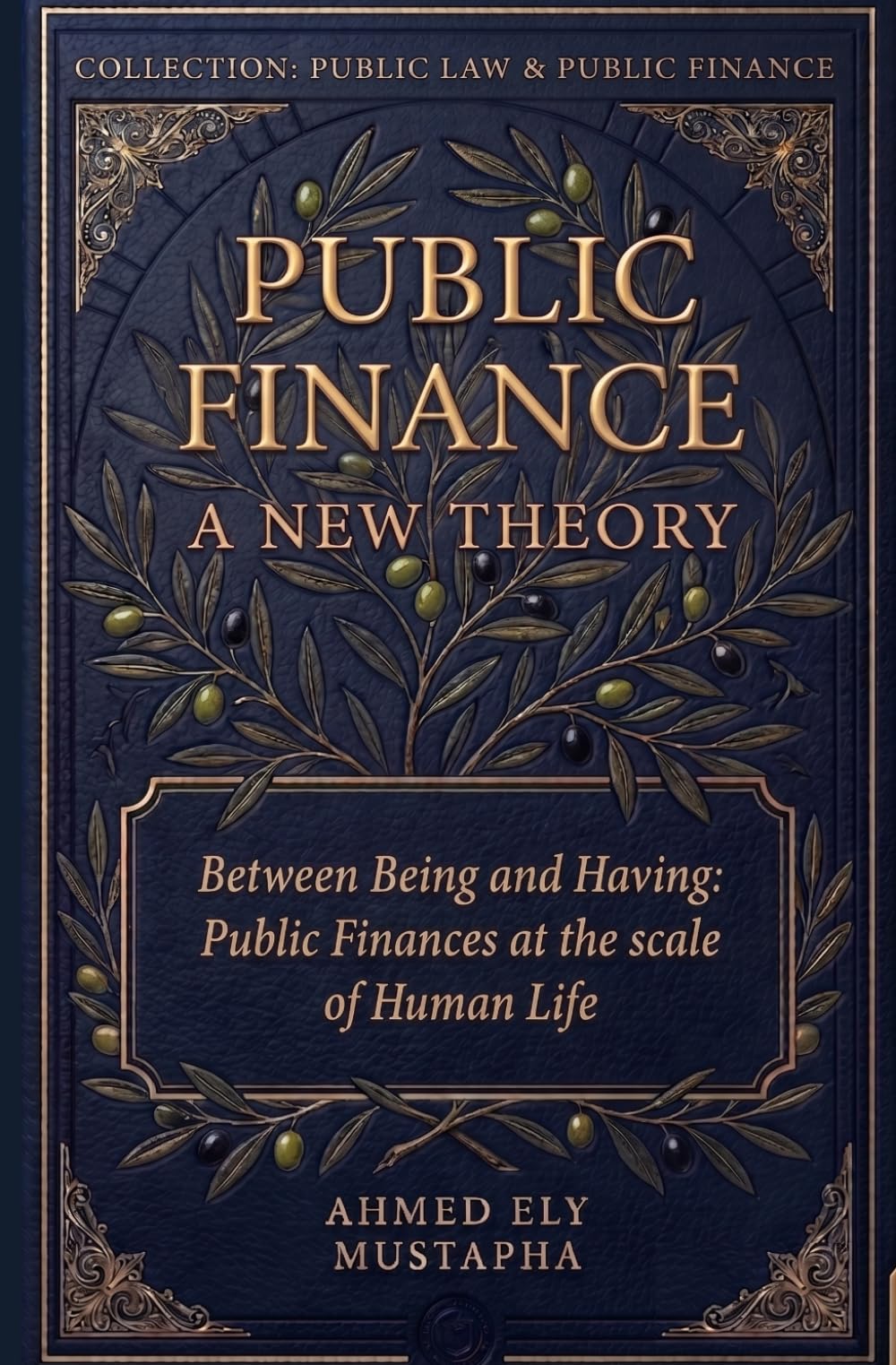 Public Finance: A new theory