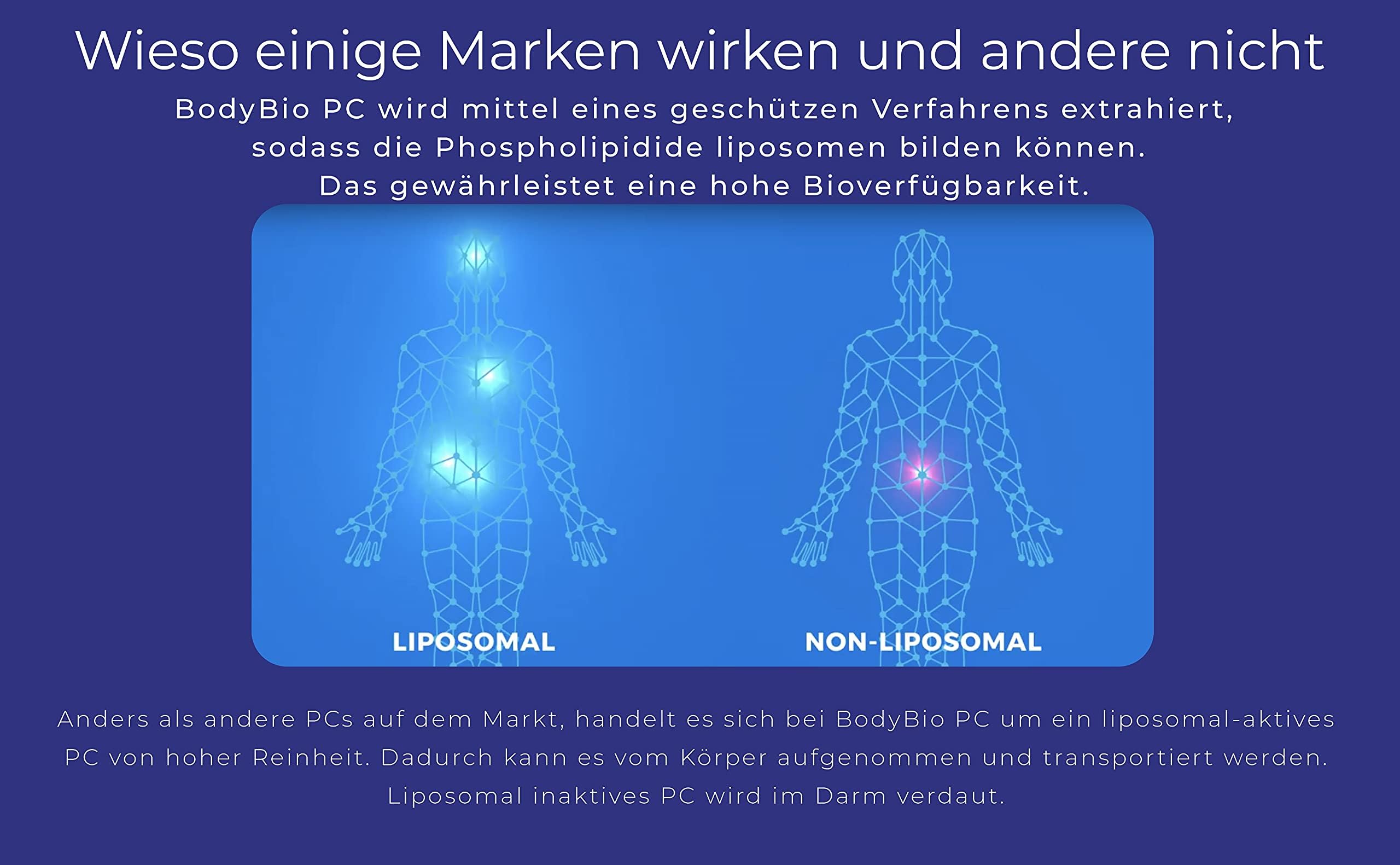 BodyBio PC Phospholipidkomplex liposomal 100 Kapseln - 173g (Phosphatidylcholin und andere Phospholipide)