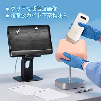 Amazon.co.jp: 超音波ガイド下神経ブロック訓練モデル - 局所麻酔教育