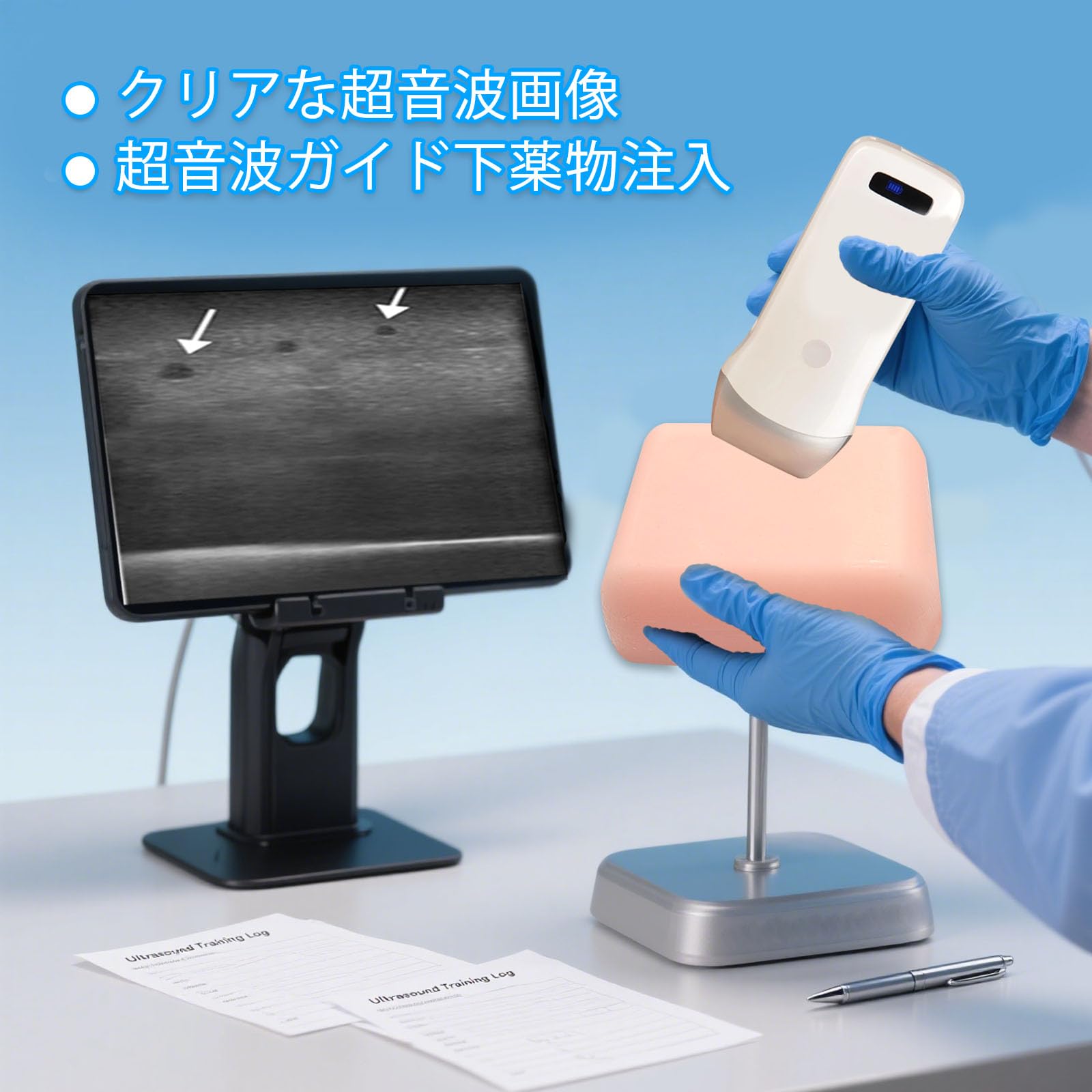 Amazon.co.jp: 超音波ガイド下神経ブロック訓練モデル - 局所麻酔教育