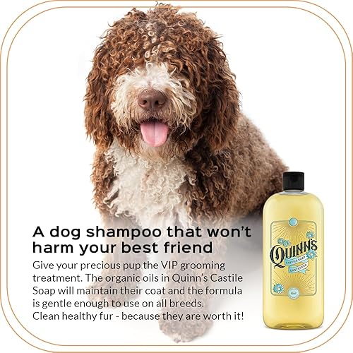 Miniatura 4 de Quinns Pure Castile - Jabón líquido orgánico 32 onzas sin perfume