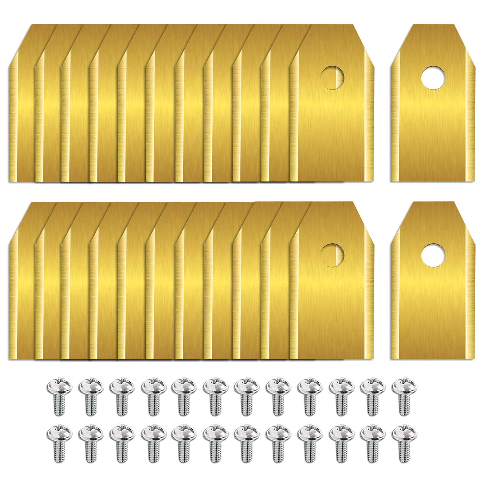 Lame di Ricambio 24 Pezzi in Acciaio Inox compatibili i105/108E, H1500/3000E-VF, X315/330E, Sileno Minimo