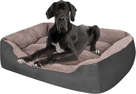 xx large dog bed