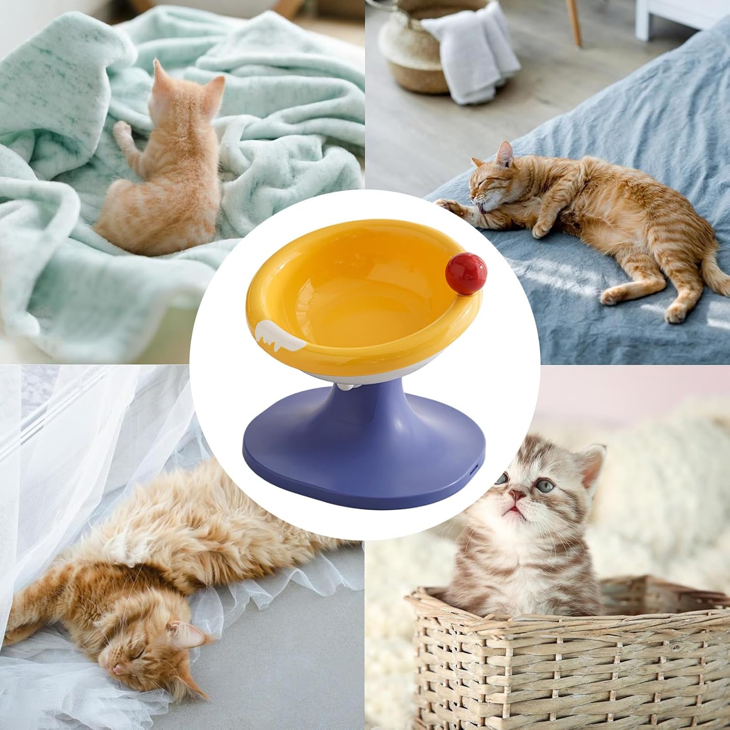 高さ調整可能キャットボウル | エルゴノミック セラミック 猫用 ボウル | 高さ調整可能傾斜デザイン付き高架台給餌ディッシュ 小型