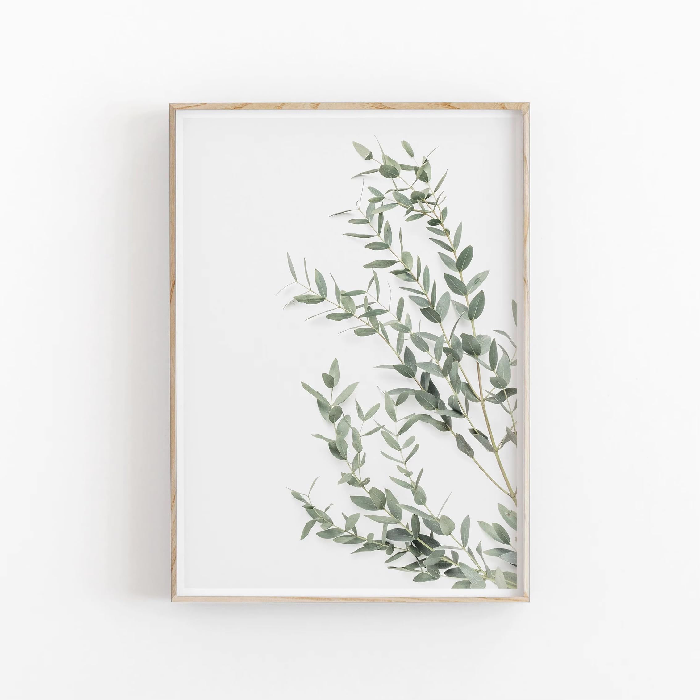 DFZEWKI Minimalist Nordic Botanical Poster Canvas Painting for Living Room Home Decor(30x40cm(12x16in)/No frame)
