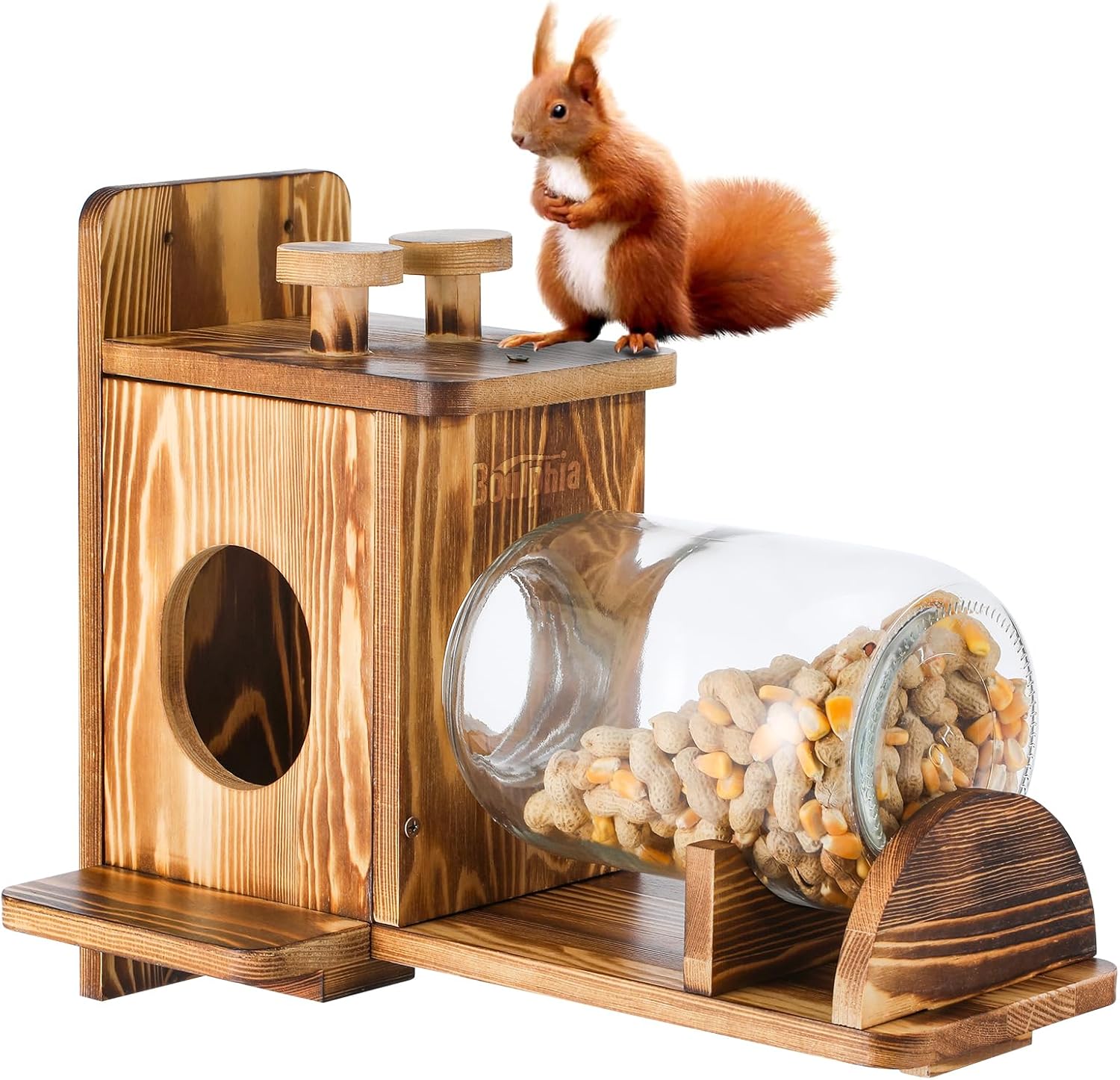 Squirrel Feeder Hanging Squirrel Feeders for Outside Funny Squirrel House for Outdoors Corn Peanut Feeder with Large Glass Jar, Easy to Refill & Clean, Weather-Proof, Carbonized Wood