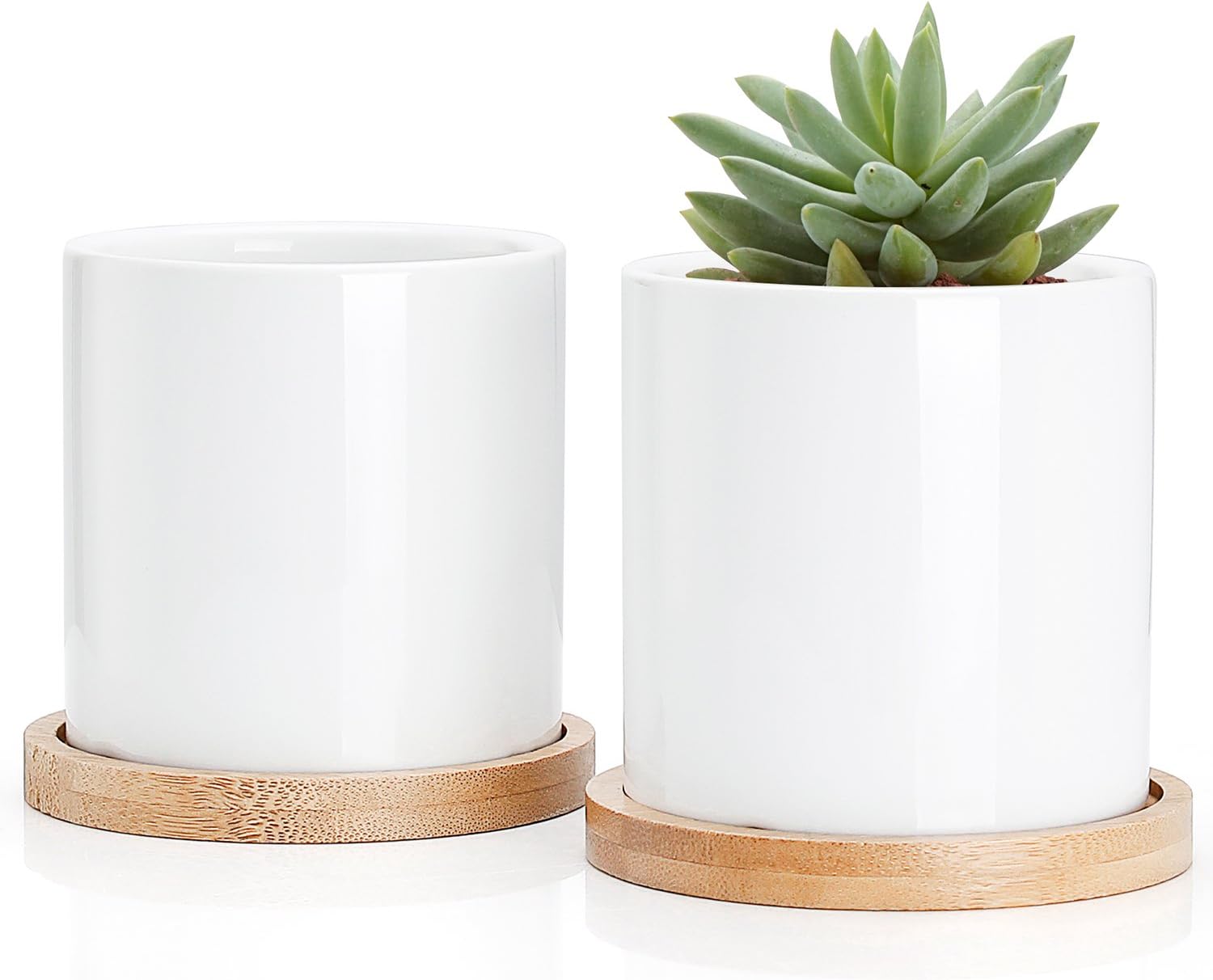 White Cylinder Pots