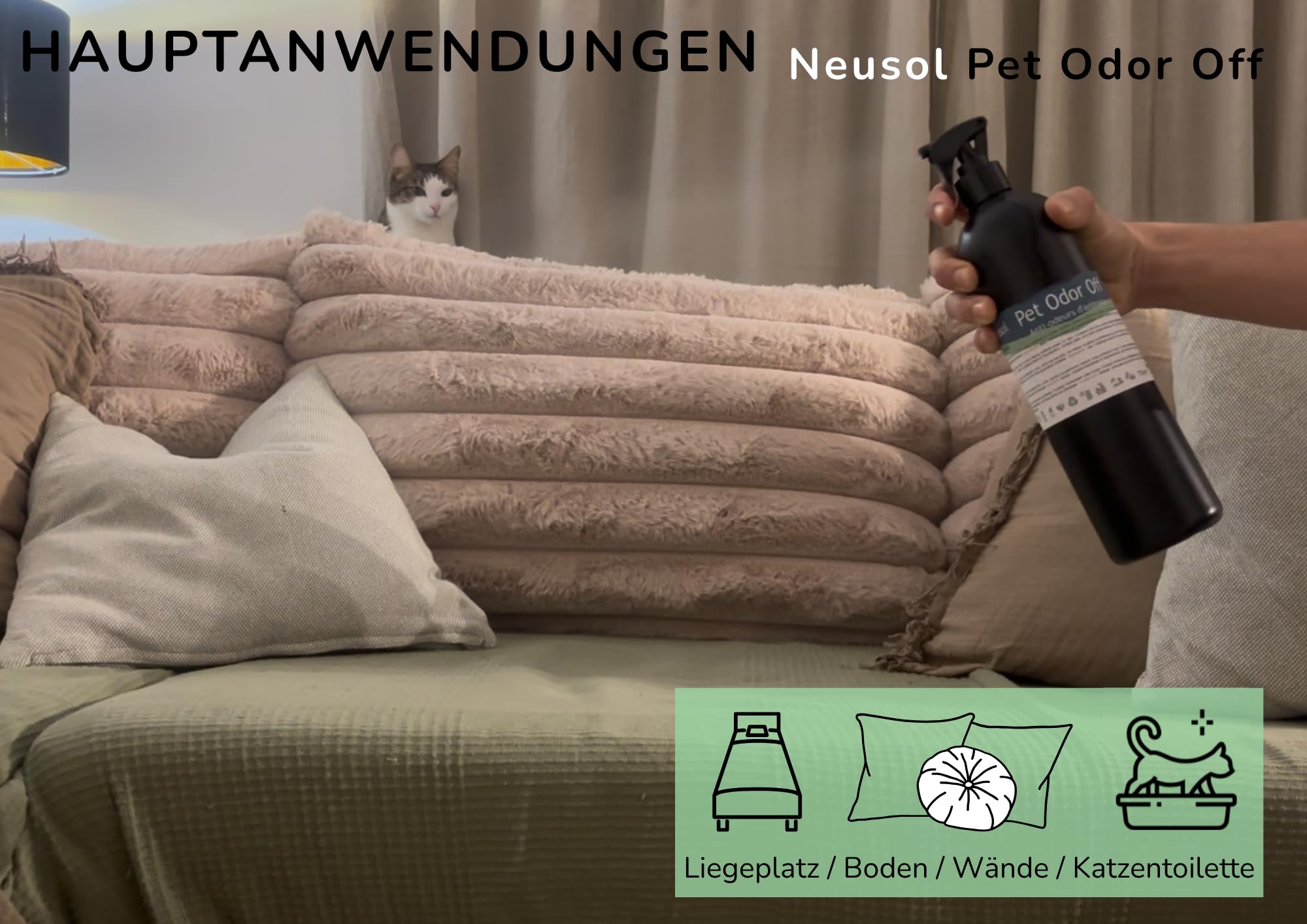 Pet Odor Off - Natürlicher Neutralisator | Beseitigt Tiergerüche: Urin, Erbrochenes Erbrochenes, Exkremente usw. auf Böden, Wänden, Textilien, Rasen etc. | Sichere Formel ohne CLP und