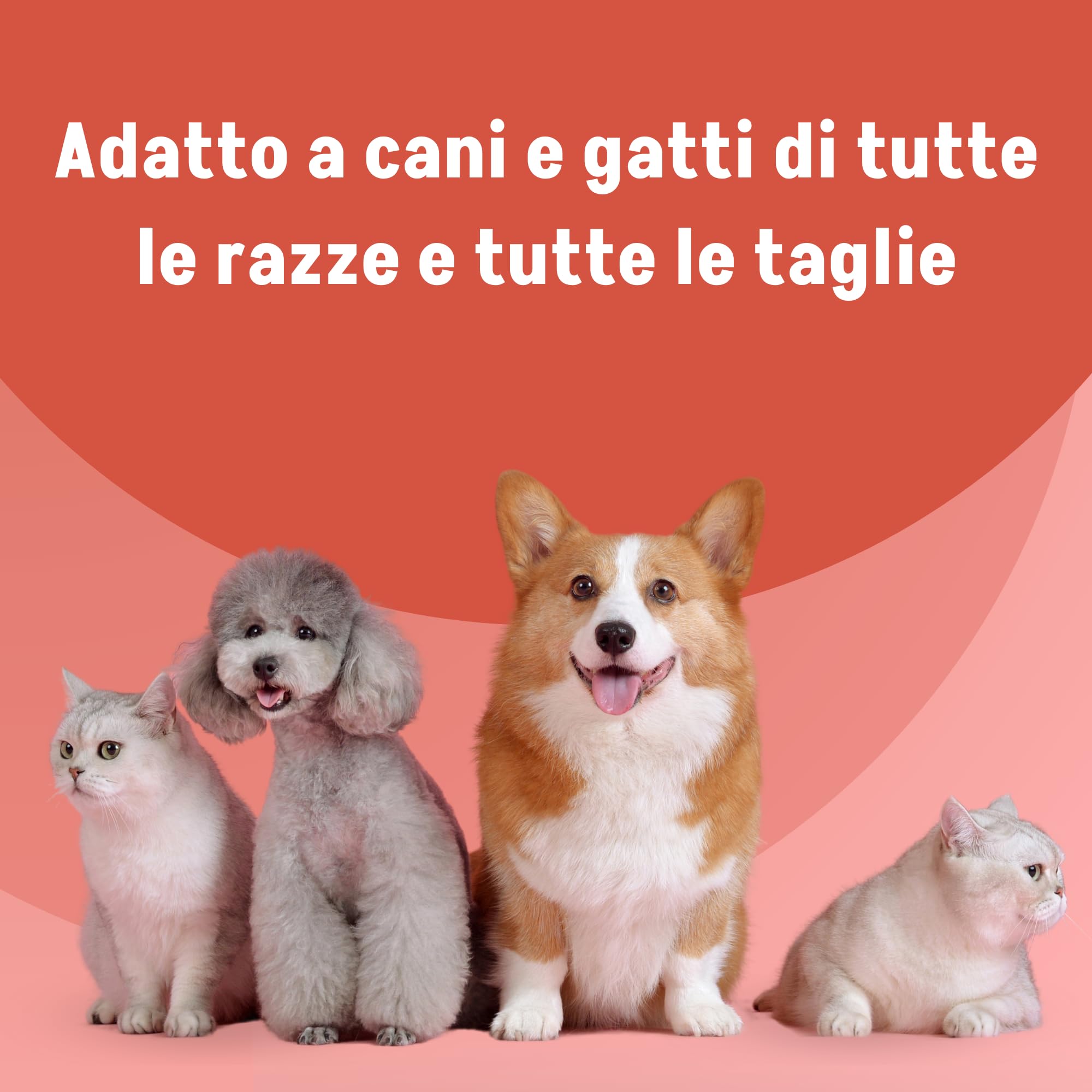 Magilus Integratore Cani e Gatti 100 ml - Aminoacidi, Vitamine, Carnitina e Taurina - Emulsione Fluida per Energia e Vitalità - Olio di Lino, Rosa Canina e Ferro